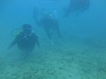 Hawaii Scuba divng 13