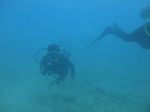 Hawaii Scuba divng 14