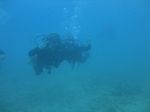 Hawaii Scuba divng 16