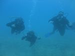 Hawaii Scuba divng 18