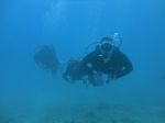 Hawaii Scuba divng 19