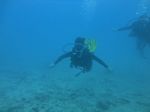 Hawaii Scuba divng 20