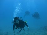 Hawaii Scuba divng 21