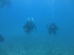 Hawaii Scuba divng 22