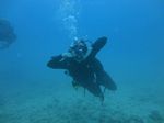 Hawaii Scuba divng 23