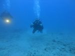 Hawaii Scuba divng 33