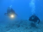 Hawaii Scuba divng 34