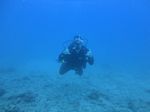 Hawaii Scuba divng 41