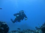 Hawaii Scuba divng 46