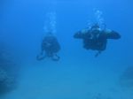 Hawaii Scuba divng 49