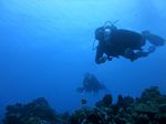 Hawaii Scuba divng 51