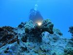 Hawaii Scuba divng 51