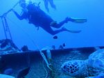 Hawaii Scuba divng 33