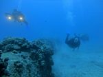 Hawaii Scuba divng 43