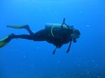 Hawaii Scuba divng 51