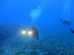 Hawaii Scuba divng 64