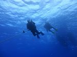 Hawaii Scuba divng 09