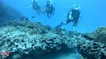 Honolulu scuba 30