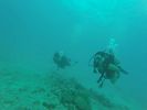 Hawaii Scuba divng 10