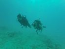 Hawaii Scuba divng 11