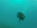 Hawaii Scuba divng 12