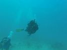 Hawaii Scuba divng 17