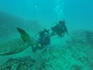 Hawaii Scuba divng 23