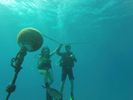 Hawaii Scuba divng 02