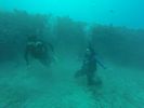 Hawaii Scuba divng 32