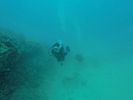 Hawaii Scuba divng 33