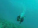 Hawaii Scuba divng 39