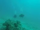 Hawaii Scuba divng 41