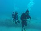 Hawaii Scuba divng 46