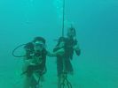 Hawaii Scuba divng 04