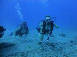 Hawaii Scuba divng 12