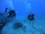 Hawaii Scuba divng 13