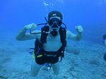 Hawaii Scuba divng 14