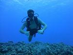 Hawaii Scuba divng 16