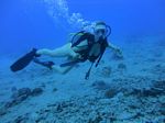 Hawaii Scuba divng 19