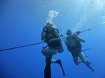 Hawaii Scuba divng 23