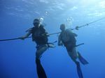 Hawaii Scuba divng 24