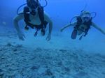 Hawaii Scuba divng 26