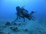 Hawaii Scuba divng 31