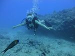 Hawaii Scuba divng 39