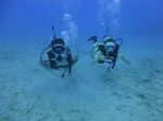 Hawaii Scuba divng 40