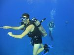 Hawaii Scuba divng 43