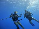 Hawaii Scuba divng 04