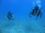 Hawaii Scuba divng 35
