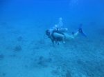 Hawaii Scuba divng 36