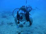 Hawaii Scuba divng 03